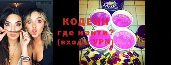 молекула духа Осташков