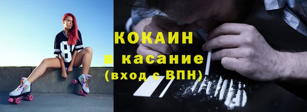молекула духа Осташков
