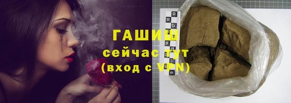 молекула духа Осташков