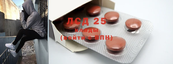 ГАЛЛЮЦИНОГЕННЫЕ ГРИБЫ Апатиты