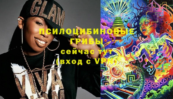 молекула духа Осташков