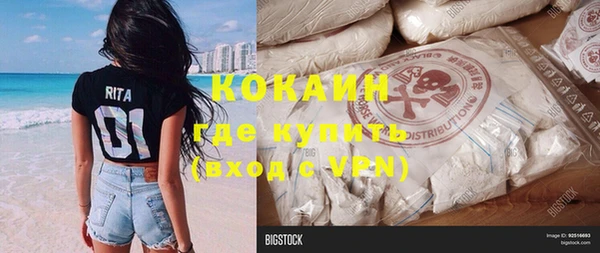 молекула духа Осташков